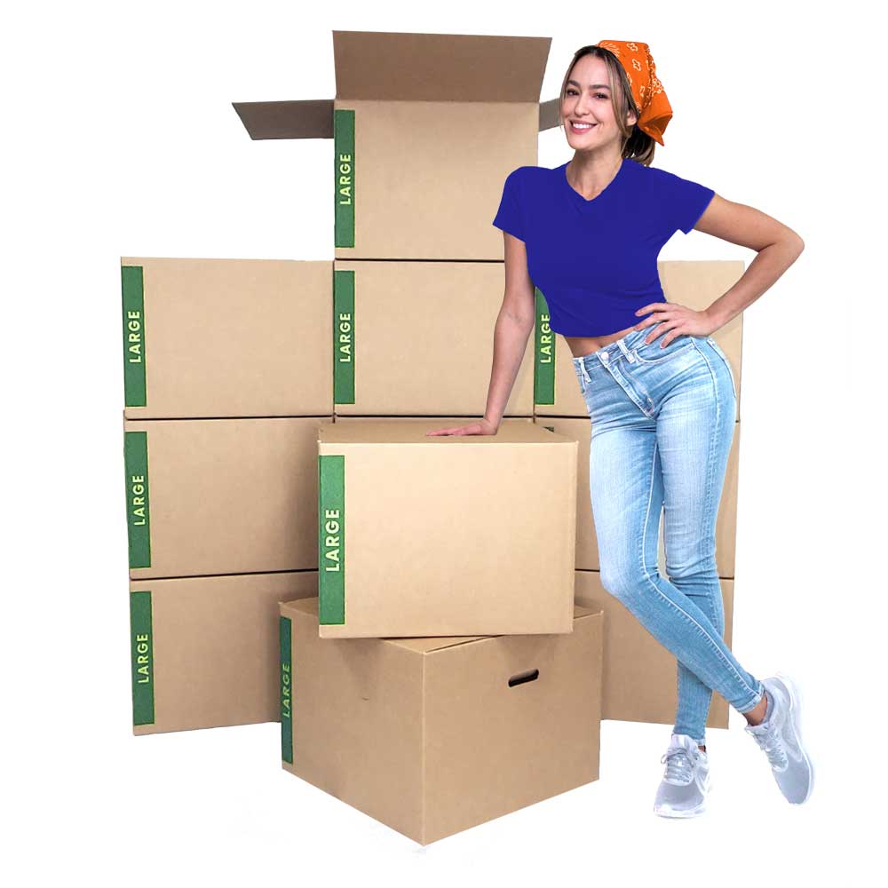 https://www.cheapcheapmovingboxes.com/resize/Shared/Images/Product/12-Large-Moving-Boxes/large-moving-boxes-bundle-of-12.jpg?
